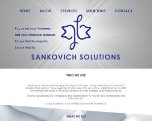 Previous Sankovich Solutions website