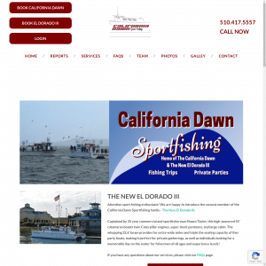Nerd Crossing built California Dawn website